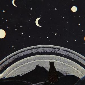 杏tv网站男同免费观看
